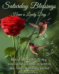Get all saturday blessings quotes for your friends and family. Hummingbirds Rose Saturday Blessings Happy Weekend Quotes Good Morning God Quotes Happy Saturday Quotes