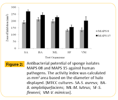 Evaluating The Antibacterial Potential Of Streptomyces Sp