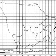 Image result for Tinospora tenera