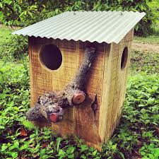 Pallet Possum Bird Boxes Bird Houses Diy Bird Boxes Possum