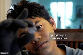 12 Karin Wolfe Stock Photos, High-Res Pictures, and Images