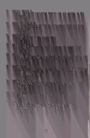 Image result for Aster milanjianus