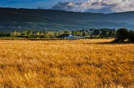 pradaria eua paisagem natural biomas paisagens