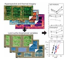 Wondering what the indonesian word for kerajinan tanah liat is? Drone Based Hyperspectral And Thermal Imagery For Quantifying Upland Rice Growth And Water Use Efficiency After Biochar Application V1 Preprints