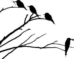 Transparent Bird On Branch Silhouette Free Image On Pixabay Animals Birds Branches European Tree Illustration Birds Free Clipart Downloads