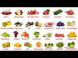 100 Most Popular Fruits In The World Learn Names Of Different Types Of Fruits In English Youtube