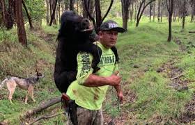 Kaʻū Life: The Way We Were Last Year...