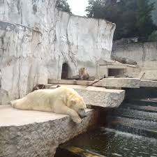 70 Schon Zoologischer Garten Karlsruhe In 2020 Zoologischer Garten Garten Karlsruhe