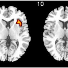 Nadia Barrett's research works