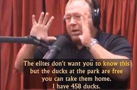 Mr jones has long claimed on his show and infowars site that the attack was completely fake mr jones had implied the parents were actors seeking to undermine laws allowing private gun ownership. The Ducks At The Park Are Free Know Your Meme