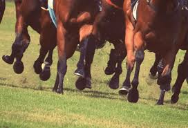 Chrome web store gems of 2020. é«˜æ¾å®®è¨˜å¿µ2020äºˆæƒ³ æ˜¥ã®ã‚¹ãƒ—ãƒªãƒ³ãƒˆçŽ‹æ±ºå®šæˆ¦ ã‚°ãƒ©ãƒ³ã‚¢ãƒ¬ã‚°ãƒªã‚¢ã‚„ã‚¿ãƒ¯ãƒ¼ã‚ªãƒ–ãƒ­ãƒ³ãƒ‰ãƒ³ãªã©å‡ºèµ°äºˆå®šé¦¬ã‚'è€ƒå¯Ÿ ç«¶é¦¬ãƒ˜ãƒƒãƒ‰ãƒ©ã‚¤ãƒ³