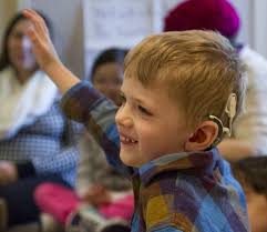 Report to the Community Fiscal Period July 1, 2016—June 30, 2017