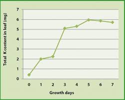 Crop Guide Nutrients For Cucumber Haifa Group