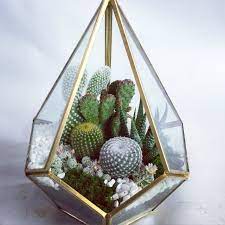 How to make cactus garden ideas pictures. Wowsome Geometric Terrarium Cactus Or Succulents By Wowsome Blossom Cactus Terrarium Diy Succulent Terrarium Terrarium Decor