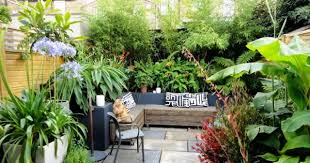 The soft cylinder shaped planter will create a lovely display for indoor plant. Want To Decor Home With Beautiful Plants This Summer Blog Nurserylive Com Gardening In India