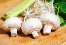 Can I Give My Baby Mushrooms