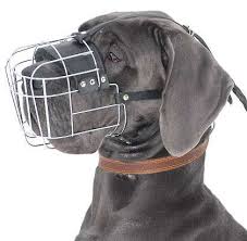 Great Dane Wire Basket Dog Muzzle Large Dog Muzzle M4