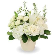 Obituary information for Diane Lynn Helms