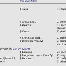 Image result for Zygophyllum leucocladum