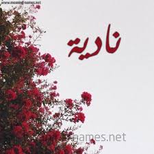 أخصائيي الحمية في فريق دافيتا. ÙƒÙ„ Ø²Ø®Ø±ÙØ© ÙˆØ­Ø±ÙˆÙ Ù†Ø§Ø¯ÙŠØ© Ø²Ø®Ø±ÙØ© Ø£Ø³Ù…Ø§Ø¡ ÙƒÙˆÙ„