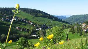 Hier wohnen sie 43 km von basel entfernt. Ferienwohnungen Und Apartments Im Schwarzwald Todtnauberg Haus Keller