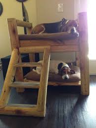Dog bunk beds pet beds diy dog bed diy bed dog bedroom modern bunk beds modern loft dog spaces dog furniture. Dog Bunk Beds Diy