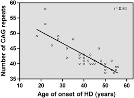 Correlation Between The Number Of Cag Repeats And The Age Of