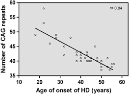 correlation between the number of cag repeats and the age of