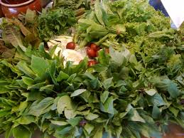 Berikut fakta di balik khasiat akar tanaman bajakah: Ulam Wikipedia Bahasa Melayu Ensiklopedia Bebas