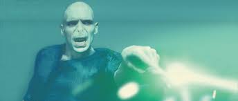 We did not find results for: Things You May Not Have Noticed About Lord Voldemort Wizarding World