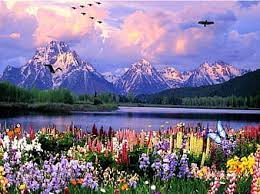 HD butterfly mountains wallpapers | Peakpx