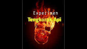 Koleksi gambar wallpaper dan background keren terbaik. 375x667 Free Download Hd Wallpaper Wallpaper Api Biru Gambar Tengkorak Keren Fashionsista Co