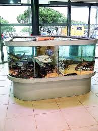 Proviviers Fabriquant D Aquarium Et Viviers Viviers De Presentation Carre Et D Angle Arrondi Produit Par Proviviers Fabricat Viviers Aquariums Carre Arrondie