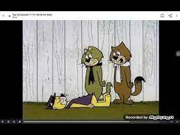 Top Cat Fainting 1 Youtube