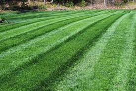 What are the pros and cons of planting on clay soil? Bn4rsxt7oqogbm