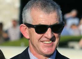 Bill Finley, Author at TDN