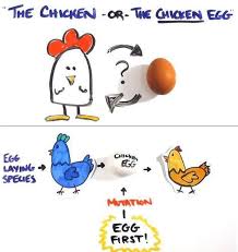 Which Came First The Chicken Or The Egg The Chicken Or The Egg One Of Life S Greatest Mysteries At Least It Was On Chicken Eggs First They Came Chicken