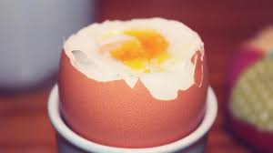 Aku membeli 6 telur, lalu 2 telur pecah dan 2 telur ku makan. Aku Membeli 6 Telur Lalu 2 Telur Pecah Dan 2 Telur Ku Makan Berapa Sisa Telur Yang Aku Punya Penyebab Dan Pencegahan Kegagalan Dalam Penetasan Pengeraman Telur Burung Om Kicau