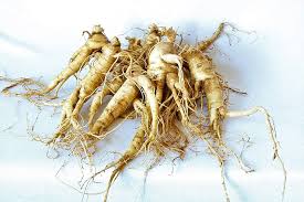 Image result for Ginseng