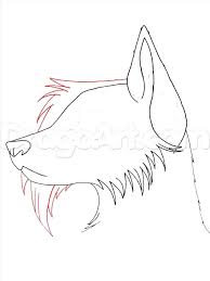 Share the best gifs now >>>. Draw Anime Wolf Drawing Tutorial Easy