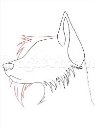 Anime wolf drawing tutorial, anime wolf drawings, anime wolf follow the simple instructions and in on time you can create a great looking wolf drawing. Draw Anime Wolf Drawing Tutorial Easy