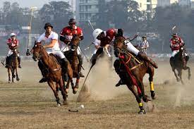 Polo for everyone, every night of the year! Argentine Thoroughbred Polo Horse Embryos