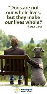 Breaking A Dog S Neediness Happy Dogs Dog Love Dogs