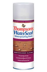 Thompson S Waterseal Waterproofing Stain Aerosol Spray