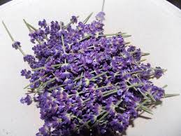 Lavendelsirup Mit Zucker Und Wasser Rezept Mit Bild Rezept Lavendelsirup Termomix Rezepte Sirup