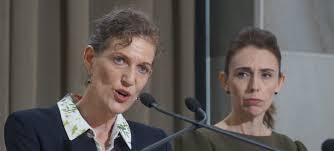 The place of the royal commission of inquiry in the english political scheme. The Political Complexities Of The Royal Commission Response Newsroom