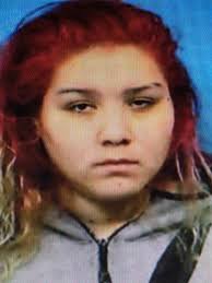 Residential Burglars Arrested in Addison Addison Police Officers and  Detectives arrested three individuals for committing two residential  burglaries in Addison