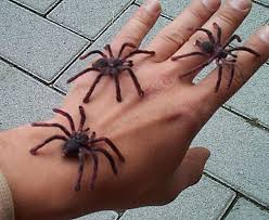 Alles was du wissen musst. Deko Spinne 5 Cm 2er Set Kaufen Im Australien Versand Shop