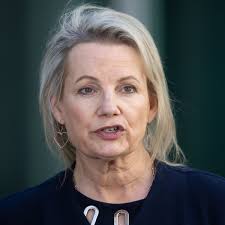 Sussan Ley endorses Gisele Kapterian over Warren Mundine