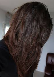 L Ingredient Naturel Henne Cheveux Jolie Coquille Le Site Beaute Henne Cheveux Eclaircir Cheveux Brun Cheveux